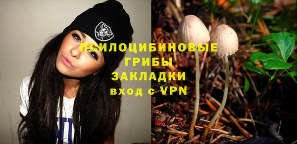 ALPHA PVP Алексин