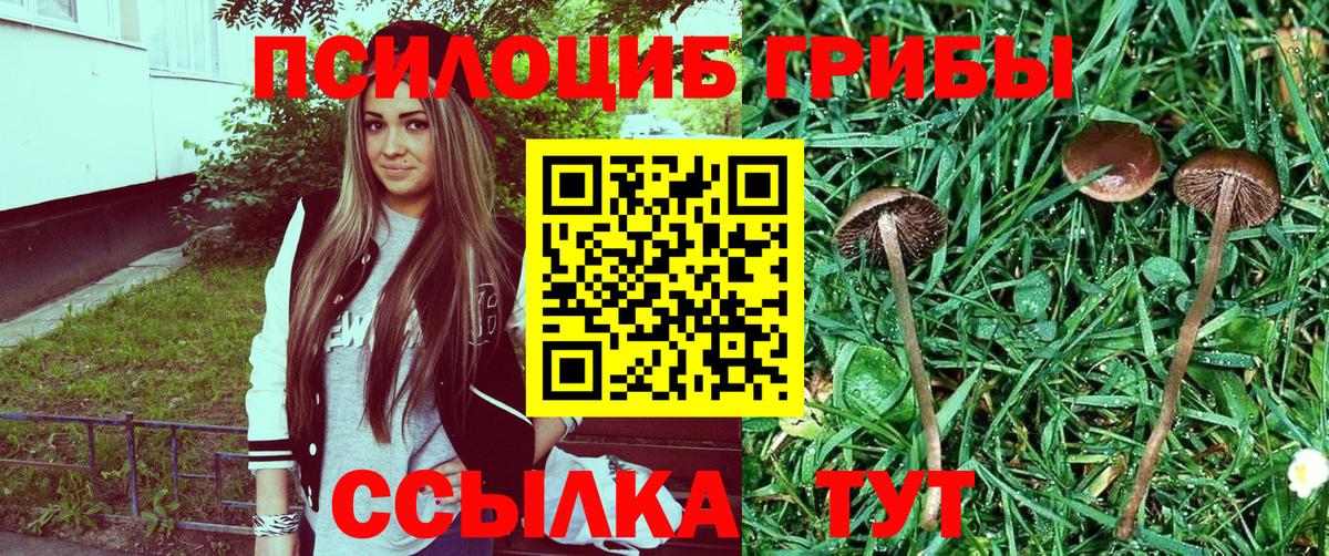 Псилоцибиновые грибы GOLDEN TEACHER  купить  сайты  Ишимбай  Вход с VPN 